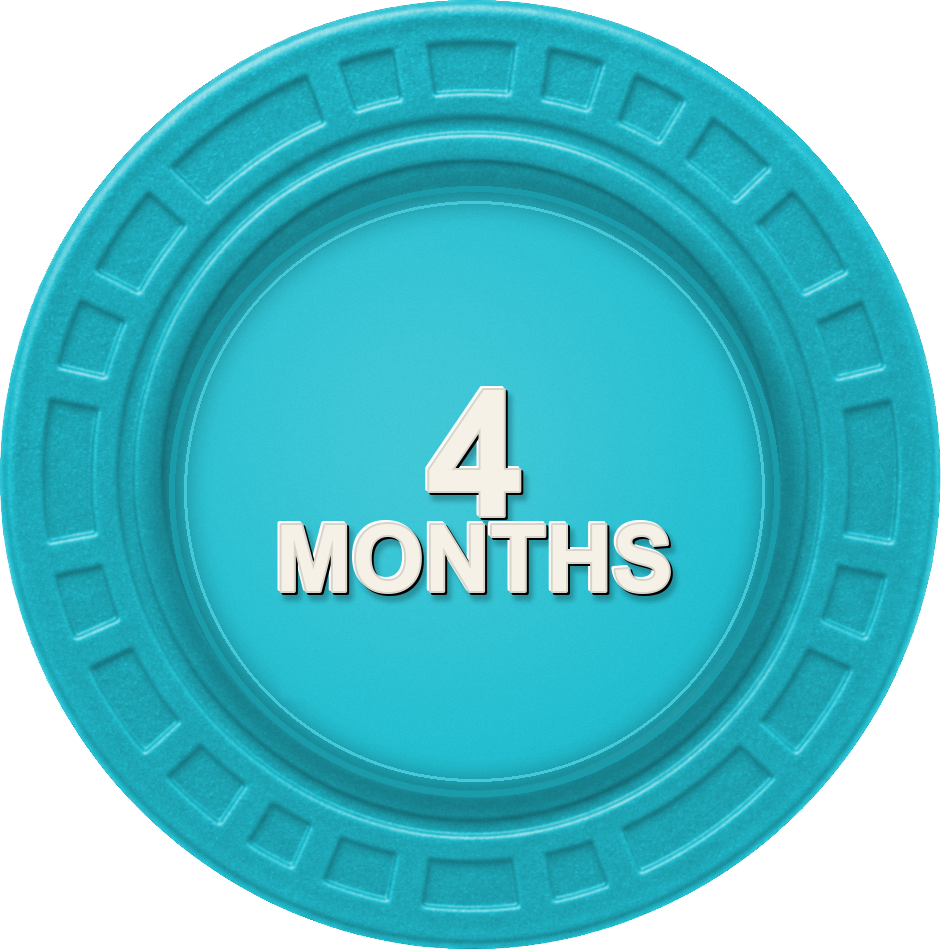 4 Months chip