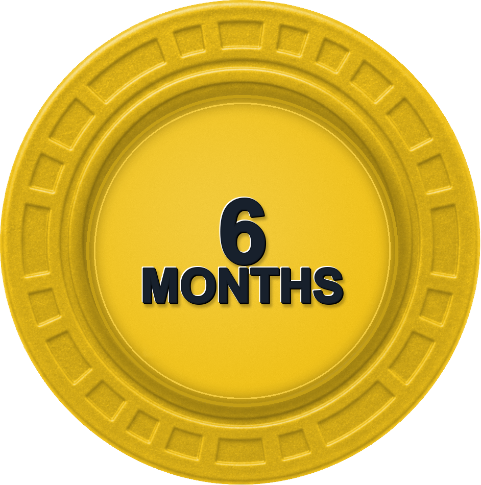 6M chip