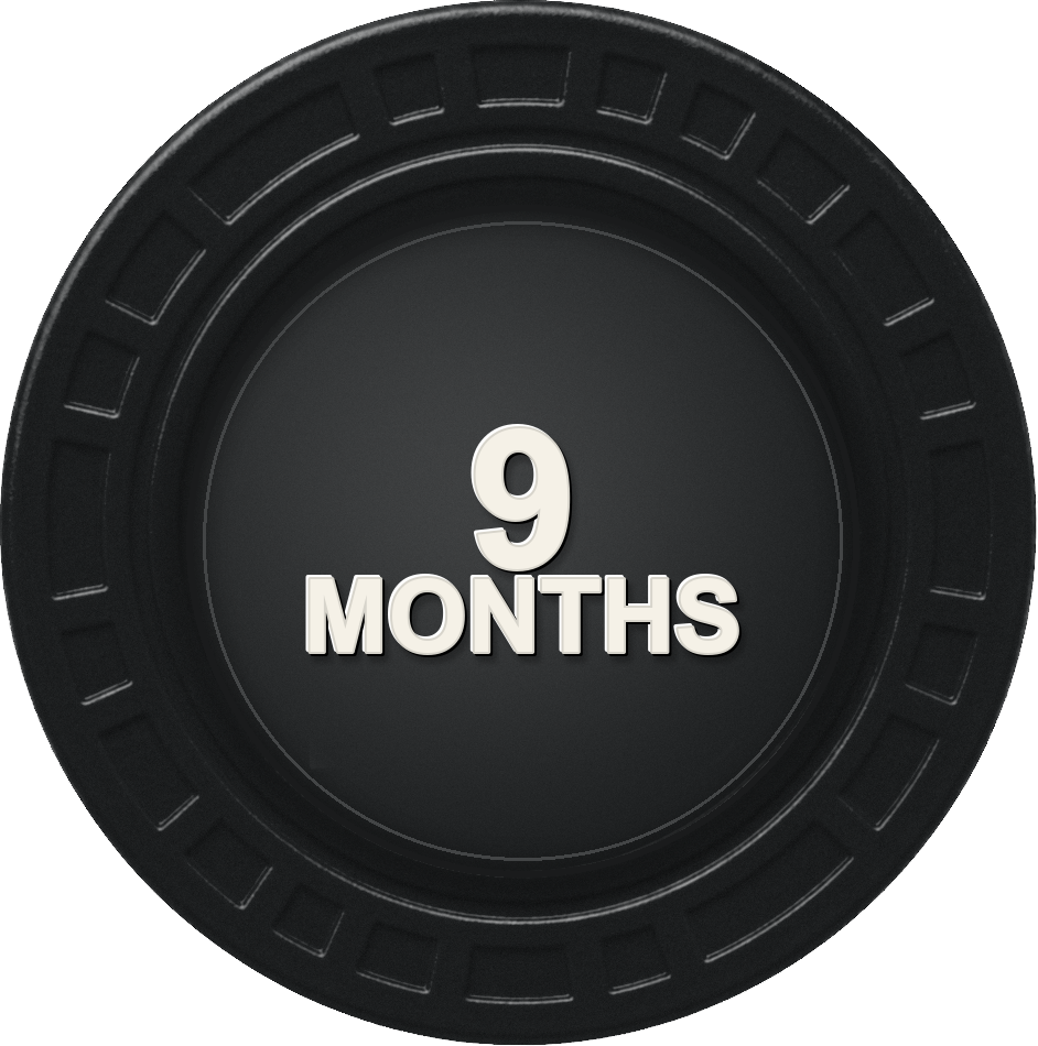 9M chip